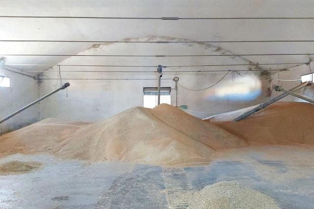 #20409 Complesso artigianale con cortile e pertinenze in vendita - foto 15