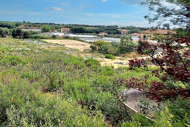 #24371 Terreno agricolo con pozzo di attingimento in vendita - foto 10