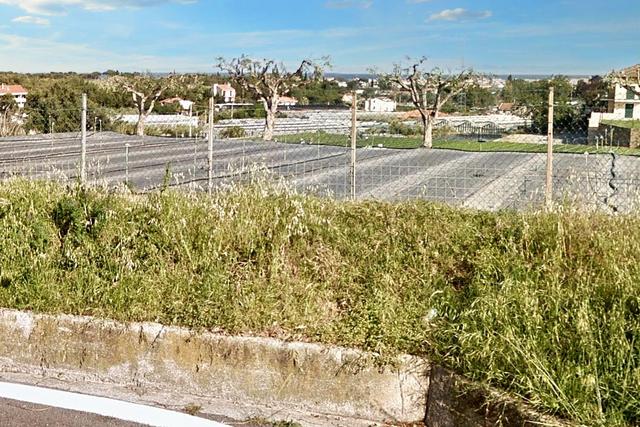 #24371 Terreno agricolo con pozzo di attingimento in vendita - foto 3