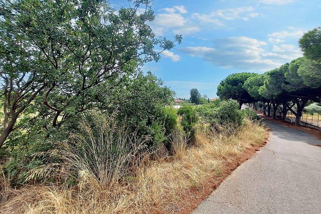 #24371 Terreno agricolo con pozzo di attingimento in vendita - foto 12
