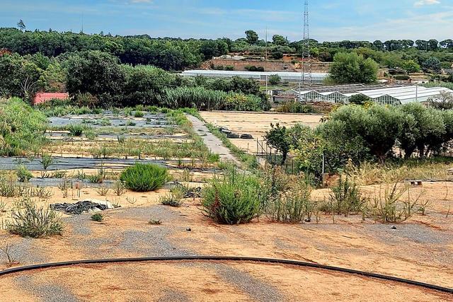 #24371 Terreno agricolo con pozzo di attingimento in vendita - foto 7