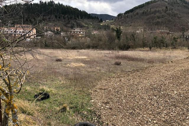 Agricoli in vendita