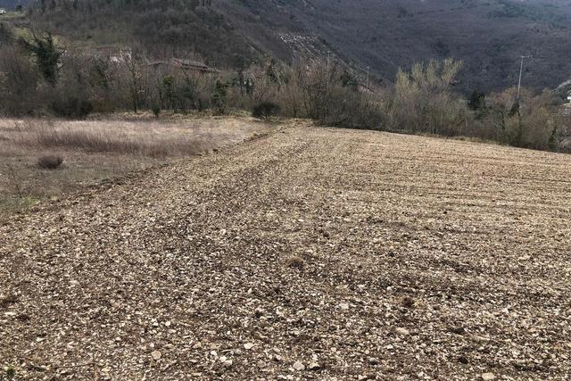 Agricoli in vendita