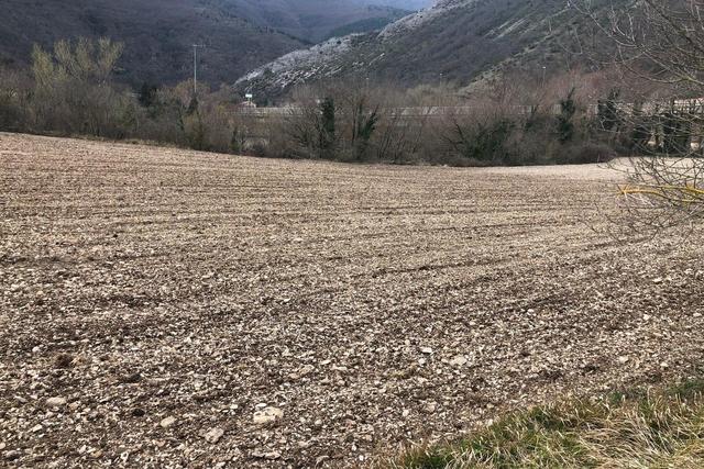 Agricoli in vendita