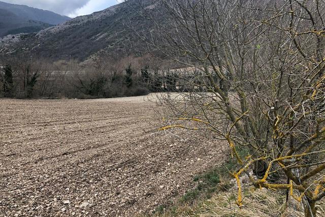 Agricoli in vendita