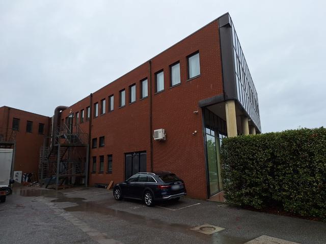 Grandi dimensioni in vendita