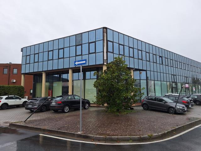 Grandi dimensioni in vendita