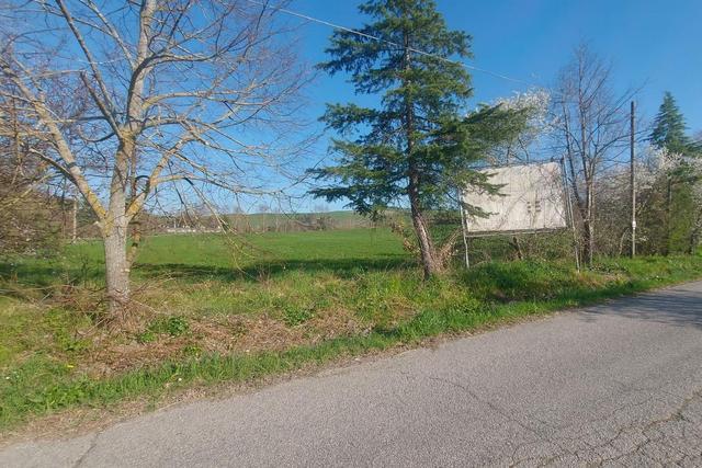 #20165 Terreno collinare residenziale di 12150 mq in vendita - foto 1
