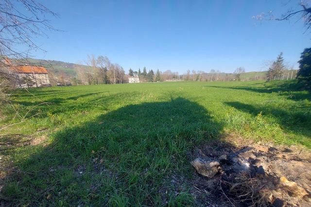 #20165 Terreno collinare residenziale di 12150 mq in vendita - foto 11