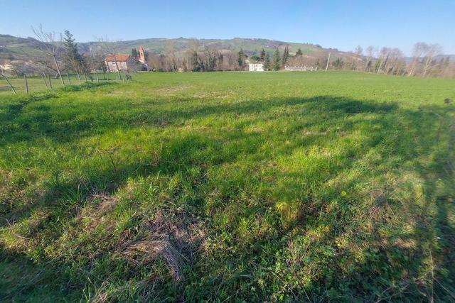 #20165 Terreno collinare residenziale di 12150 mq in vendita - foto 3