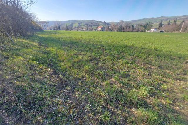 #20165 Terreno collinare residenziale di 12150 mq in vendita - foto 9