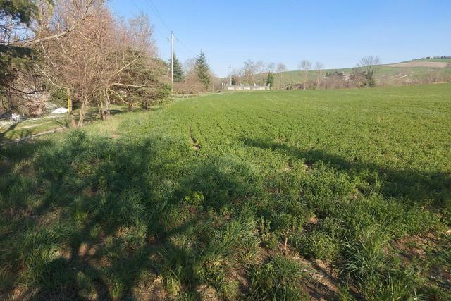 #20165 Terreno collinare residenziale di 12150 mq in vendita - foto 2