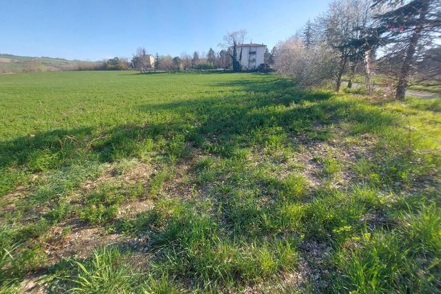 #20165 Terreno collinare residenziale di 12150 mq in vendita - foto 6
