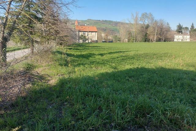 #20165 Terreno collinare residenziale di 12150 mq in vendita - foto 5