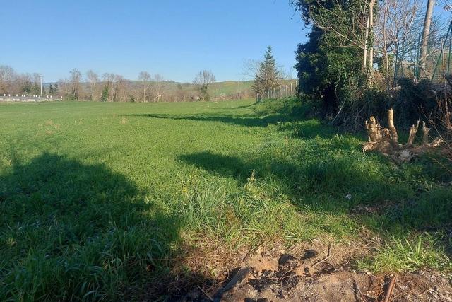 #20165 Terreno collinare residenziale di 12150 mq in vendita - foto 4