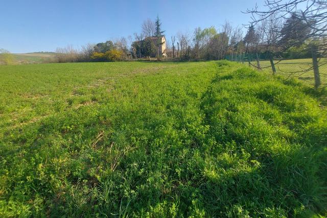 #20165 Terreno collinare residenziale di 12150 mq in vendita - foto 17