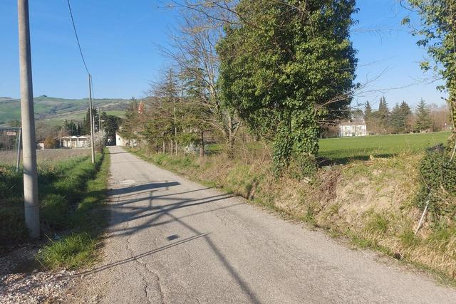 #20165 Terreno collinare residenziale di 12150 mq in vendita - foto 13