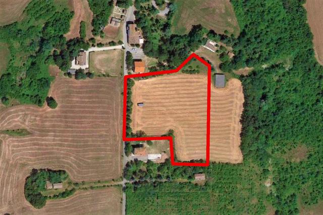 #20165 Terreno collinare residenziale di 12150 mq in vendita - foto 20