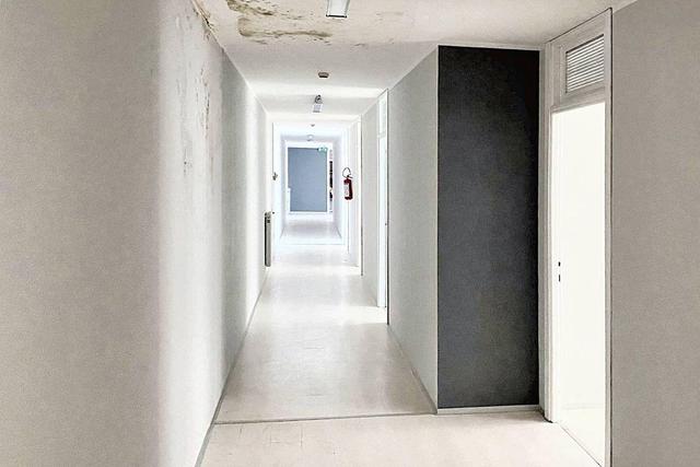 Stabilimenti produttivi in vendita