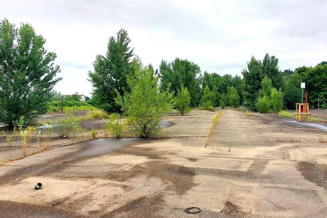 #23992 Complesso industriale con ampio piazzale in vendita - foto 22