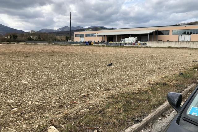 Agricoli in vendita