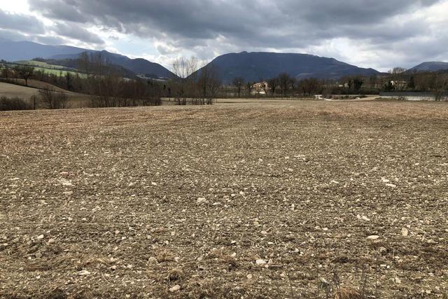Agricoli in vendita