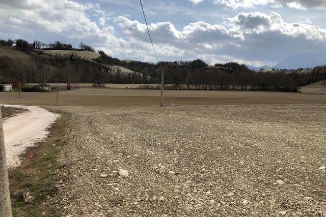 Agricoli in vendita