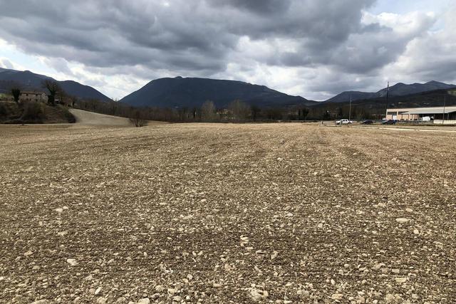 Agricoli in vendita