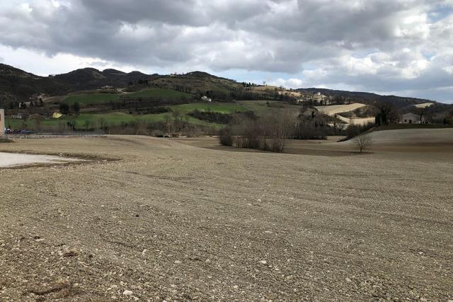 Agricoli in vendita