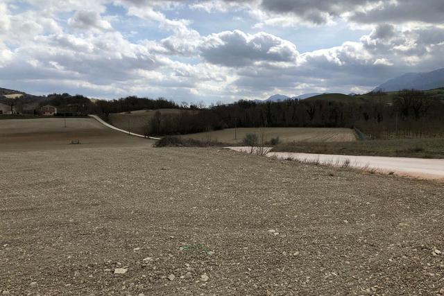 Agricoli in vendita