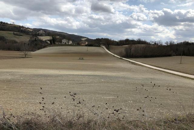 #19972 Terreni agricoli in parte edificabili di 101296 mq in vendita - foto 12