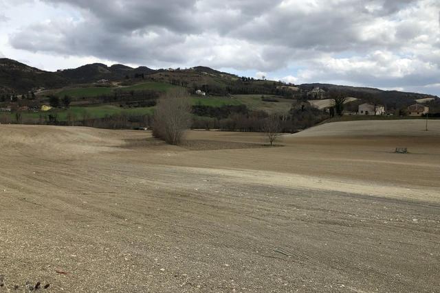 #19972 Terreni agricoli in parte edificabili di 101296 mq in vendita - foto 7