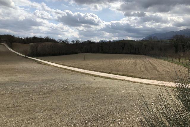 #19972 Terreni agricoli in parte edificabili di 101296 mq in vendita - foto 6