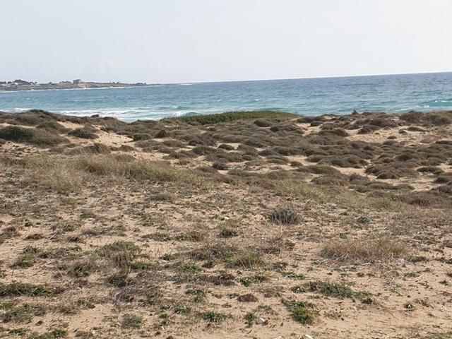 Edificabili in vendita