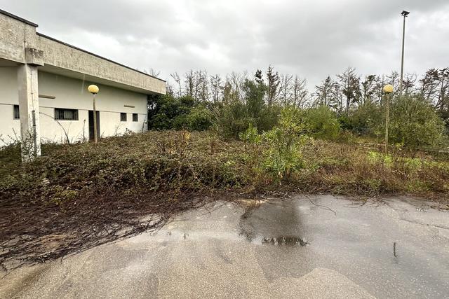 Campi sportivi in vendita