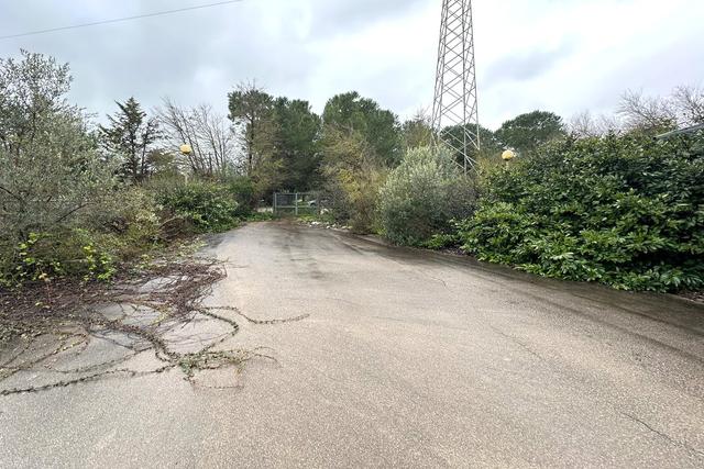 #2638341 Bar-tavola calda con area impianti sportivi in vendita - foto 15