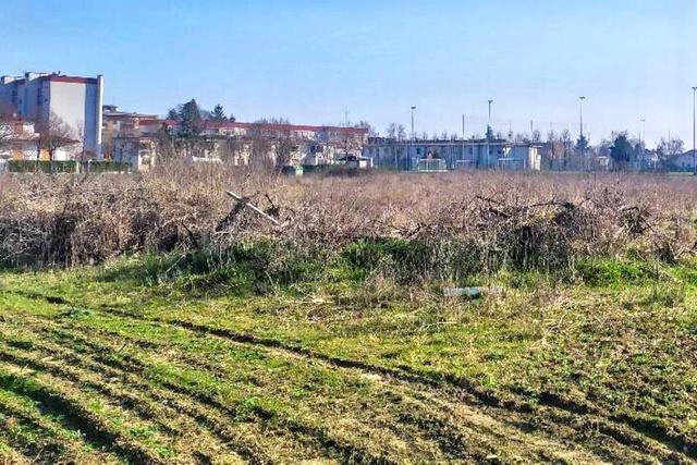 Agricoli in vendita