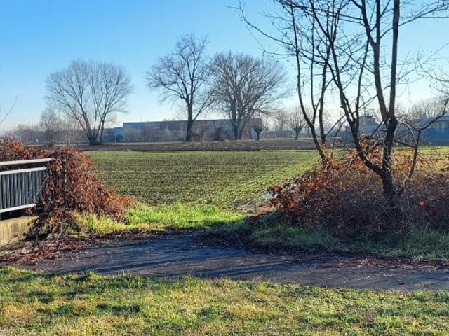 #26145 Terreno edificabile residenziale di 6.606 mq in vendita - foto 7