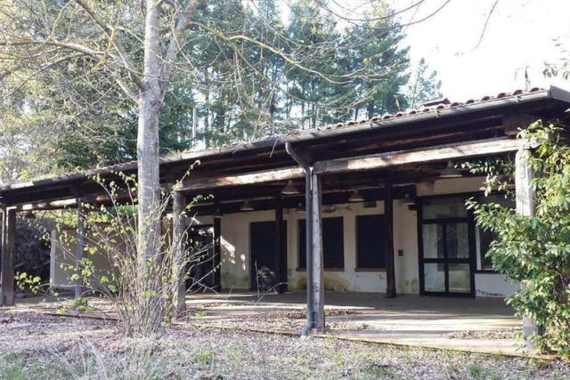 #24632 Ristorante con terreno agricolo in parte edificabile in vendita - foto 2