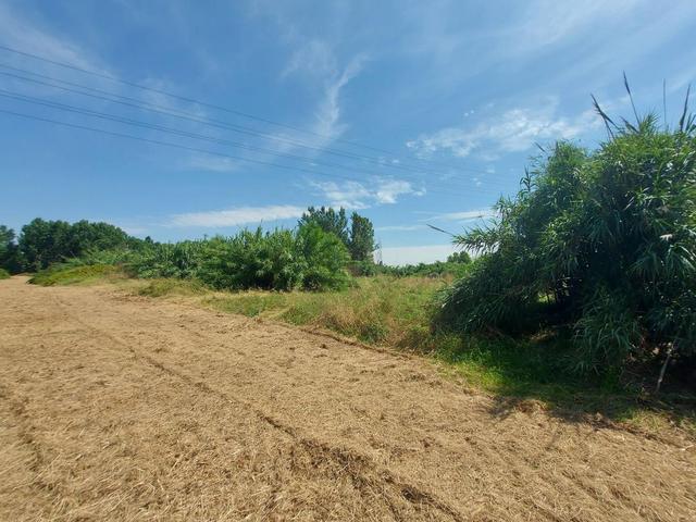 #2527000 Terreno edificabile residenziale di 71.935 mq in vendita - foto 7