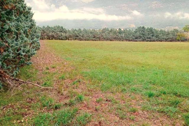 Agricoli in vendita