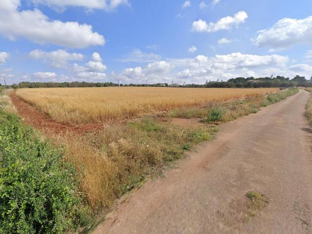#23971 Terreno agricolo di 20.988 mq in vendita - foto 6
