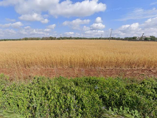 #23971 Terreno agricolo di 20.988 mq in vendita - foto 5