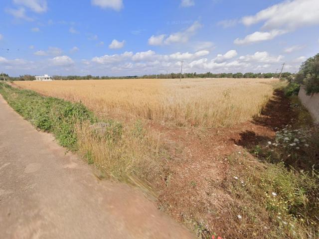 #23971 Terreno agricolo di 20.988 mq in vendita - foto 4