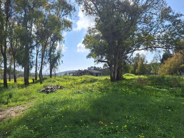 Agricoli in vendita