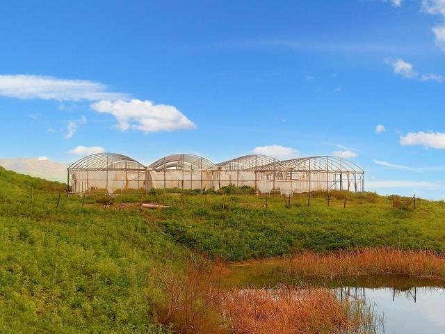 Agricoli in vendita