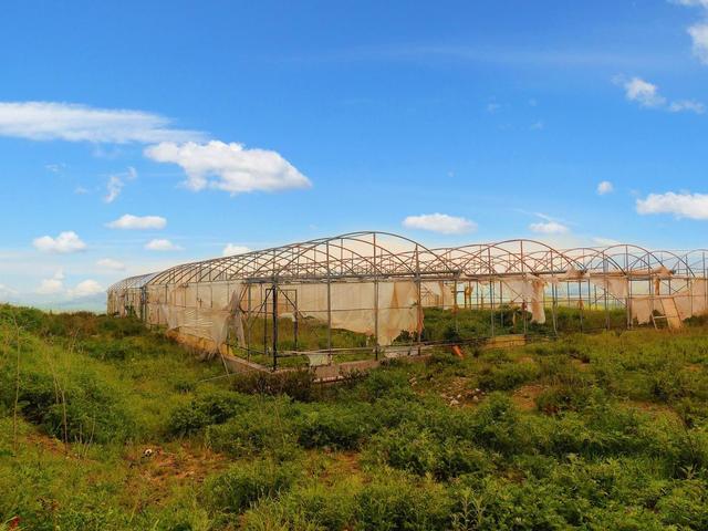 Agricoli in vendita