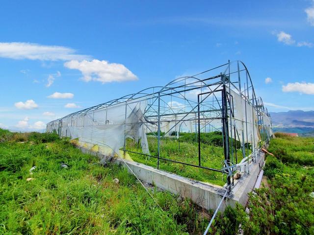 Agricoli in vendita