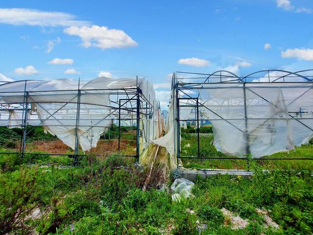 Agricoli in vendita