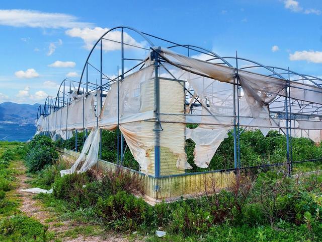 Agricoli in vendita